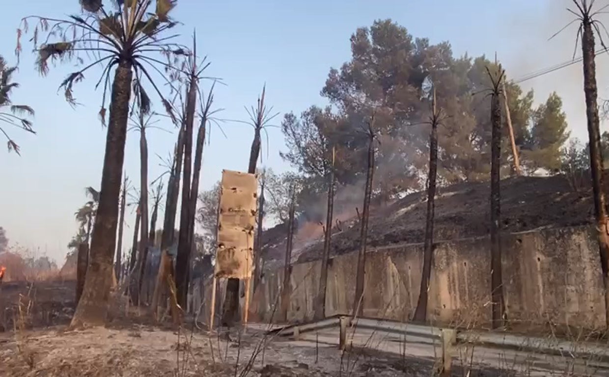 Imagen de una zona calcinada por el fuego