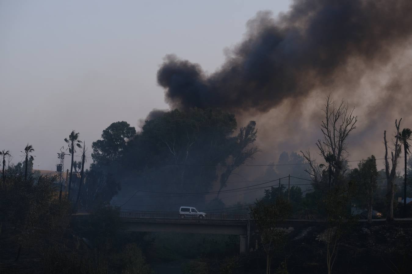 El levante ha dificultado el control del fuego en Jerez