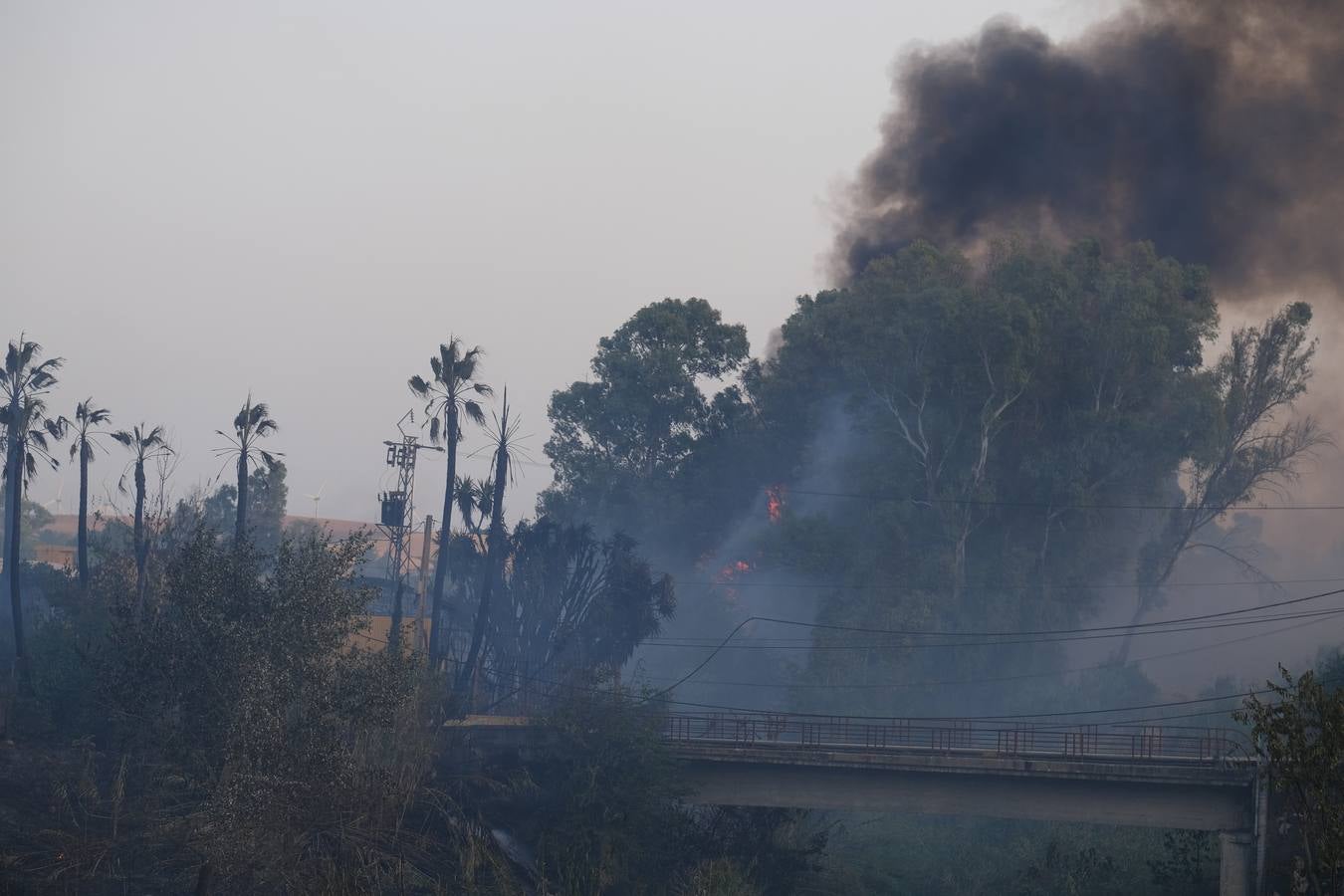 El levante ha dificultado el control del fuego en Jerez