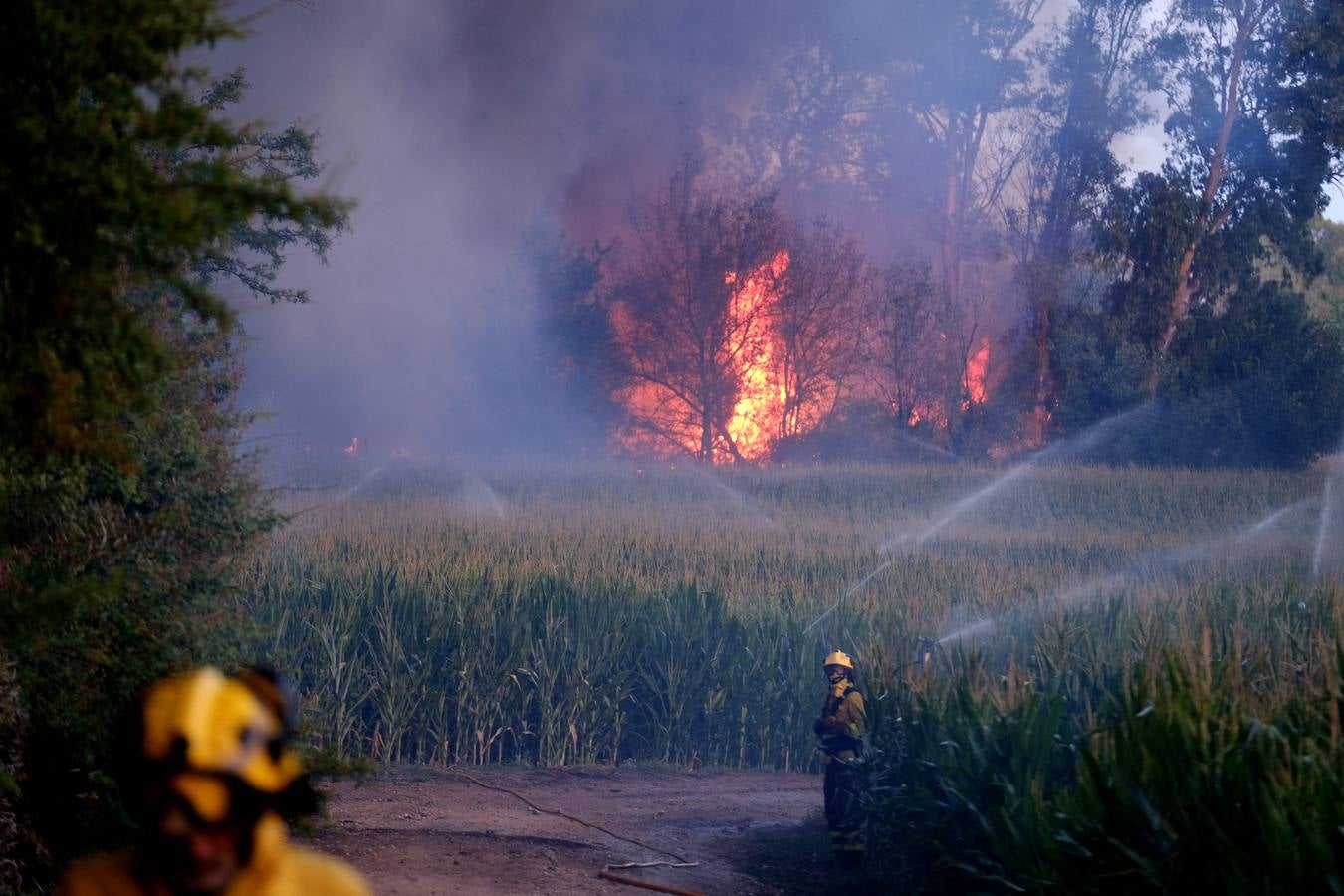 El levante ha dificultado el control del fuego en Jerez