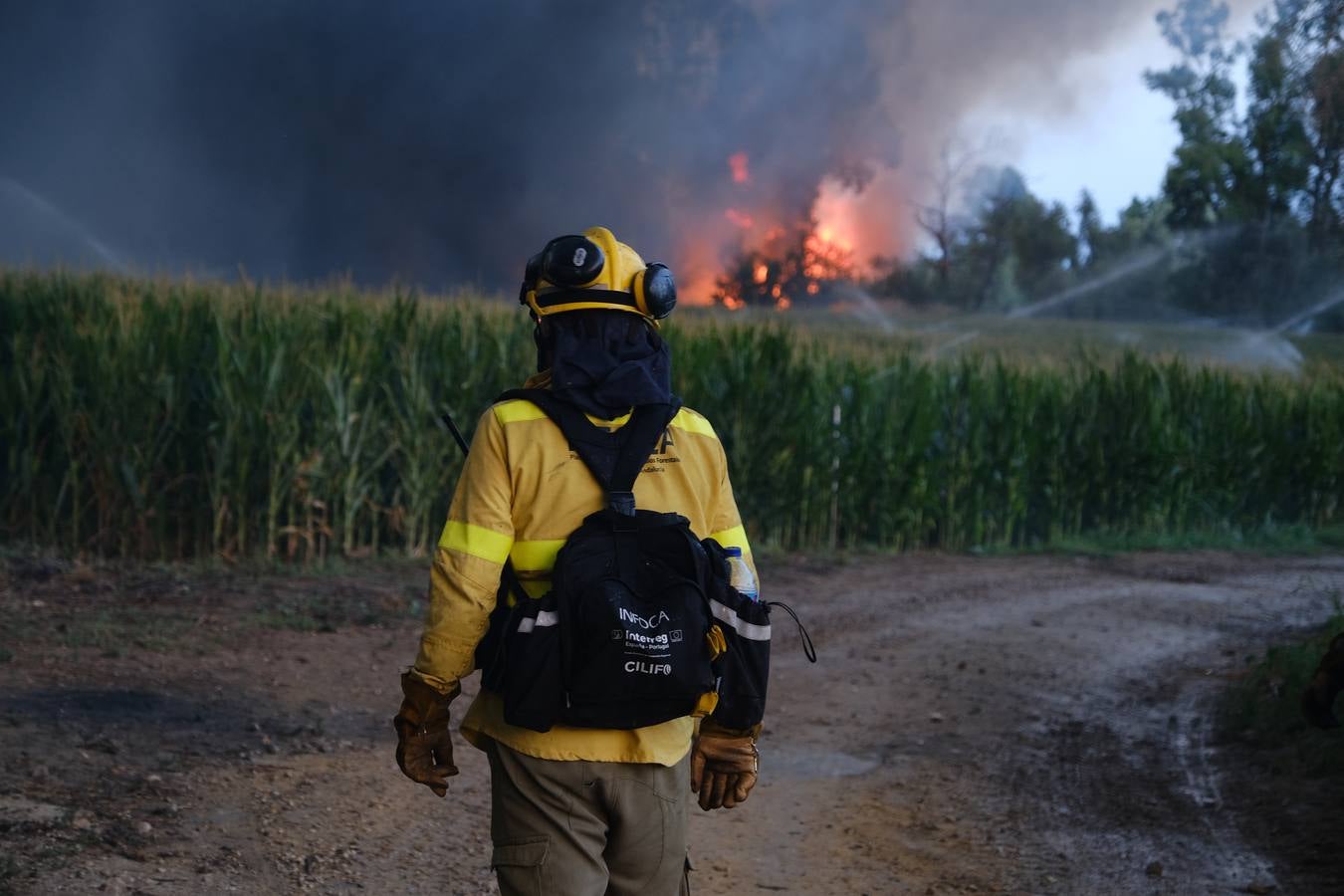 El levante ha dificultado el control del fuego en Jerez