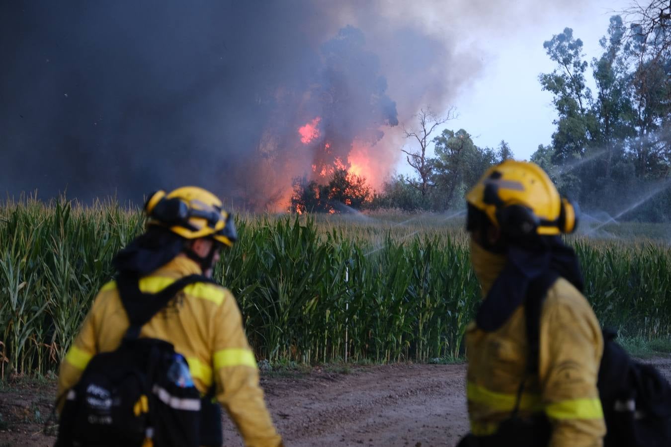 El levante ha dificultado el control del fuego en Jerez