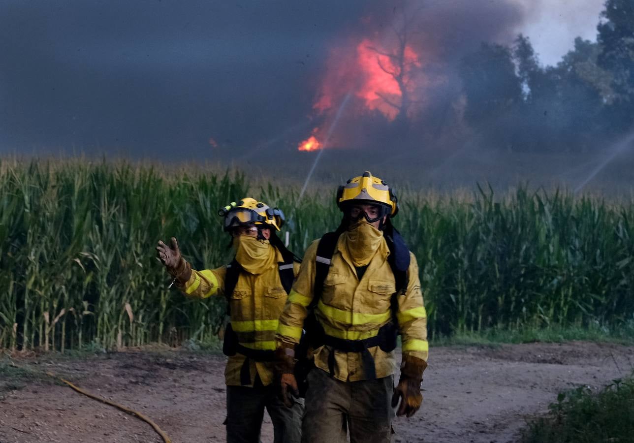 El levante ha dificultado el control del fuego en Jerez