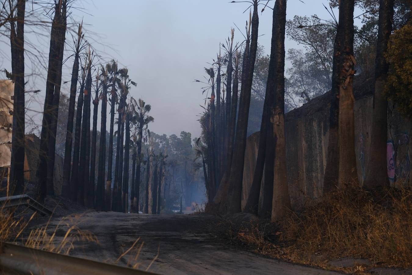 El levante ha dificultado el control del fuego en Jerez