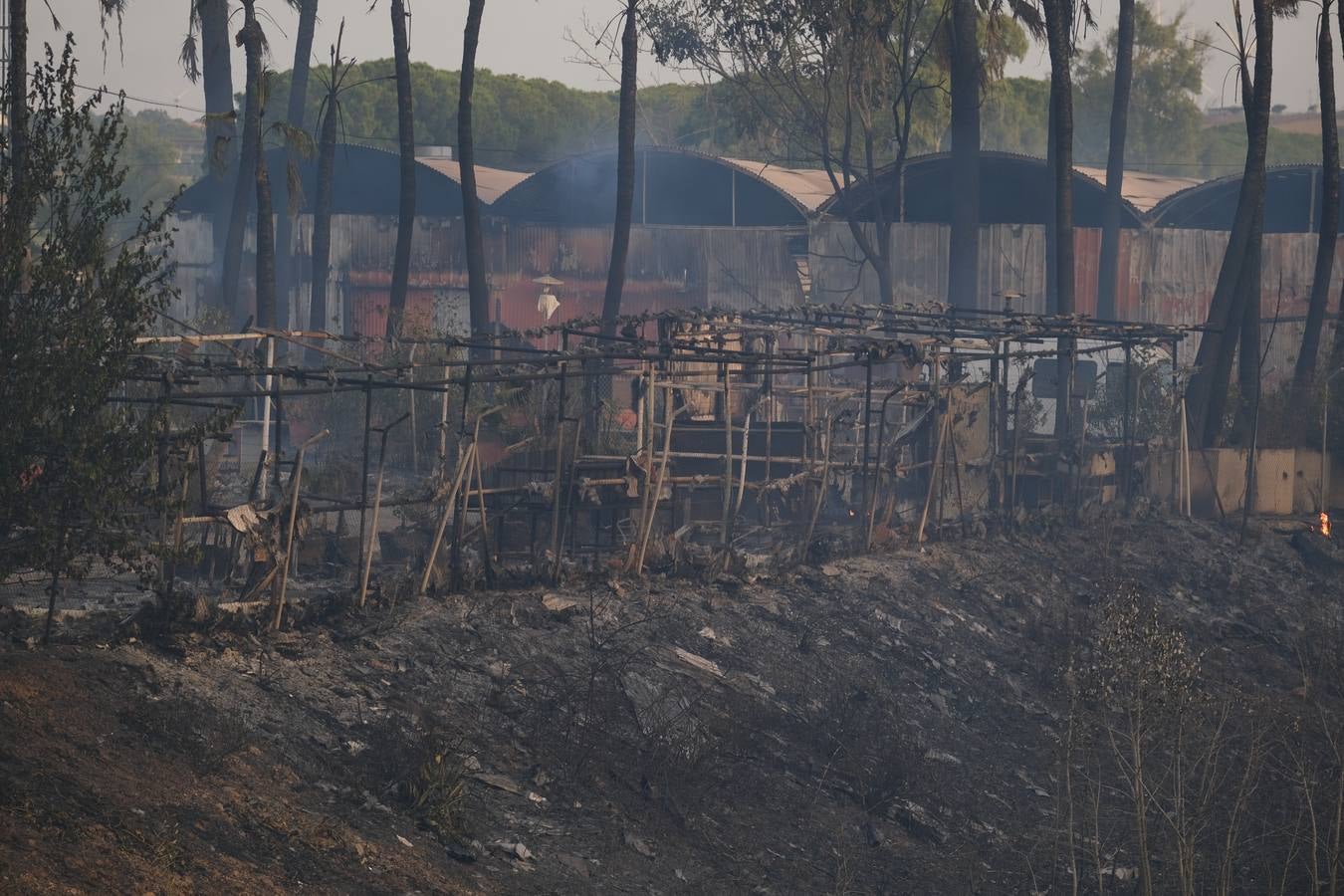 El levante ha dificultado el control del fuego en Jerez