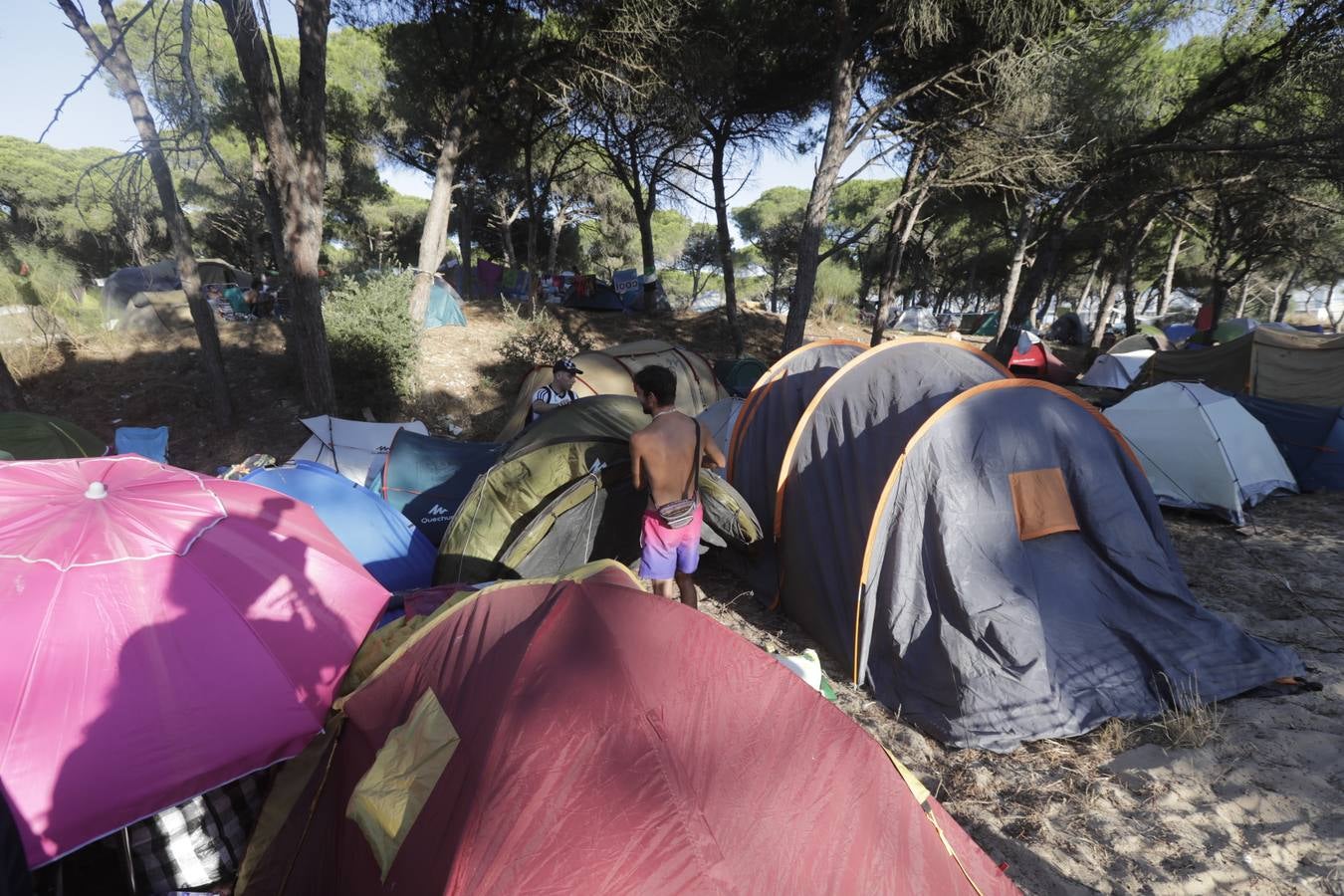 Fotos: Festival Cabo de Plata en la playa de la Hierbabuena, en Barbate