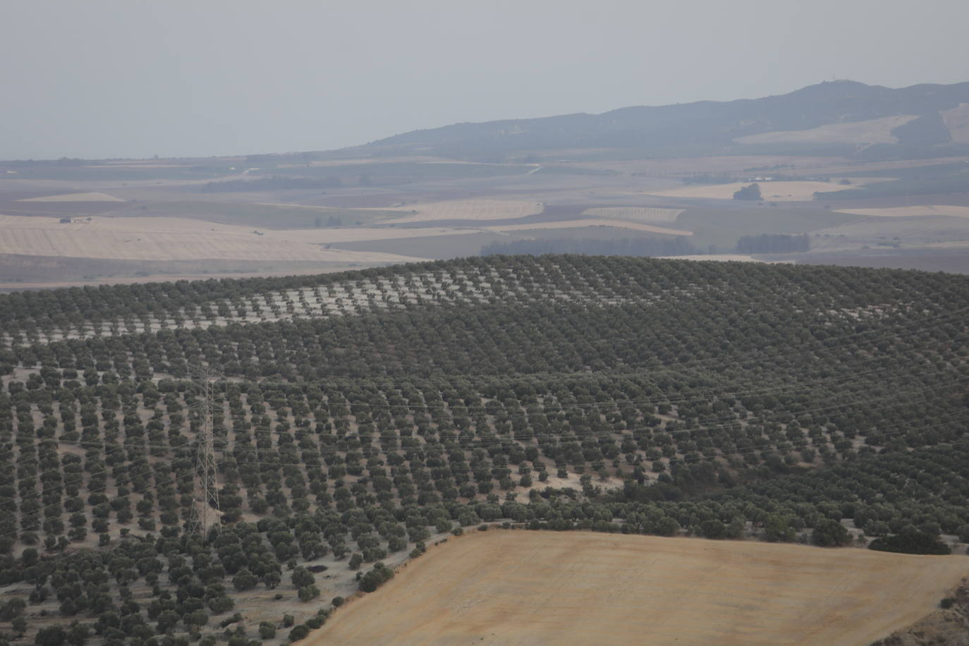 Fotos: la Sierra de Cádiz a vistas de pájaro