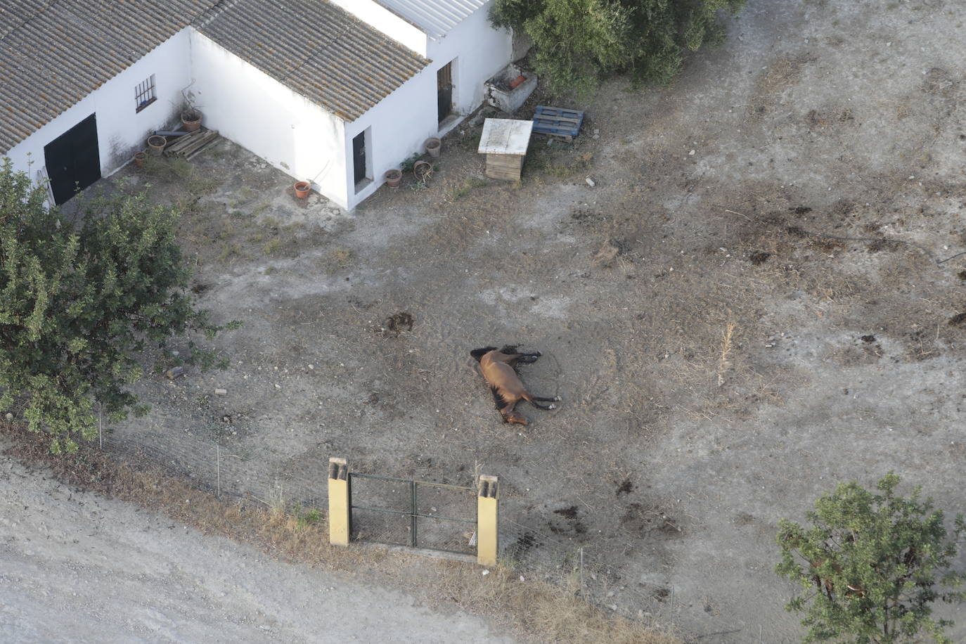 Fotos: la Sierra de Cádiz a vistas de pájaro