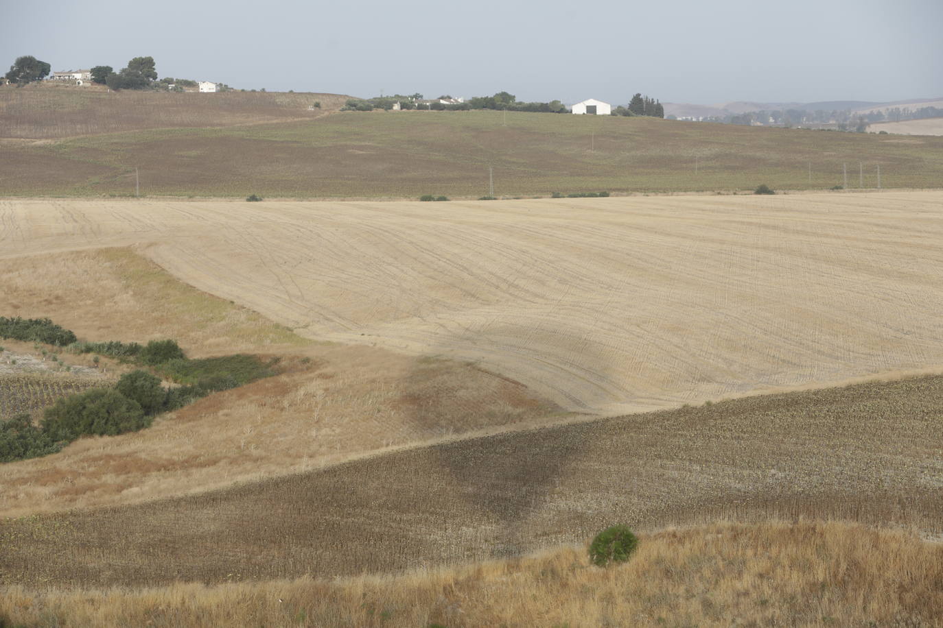 Fotos: la Sierra de Cádiz a vistas de pájaro