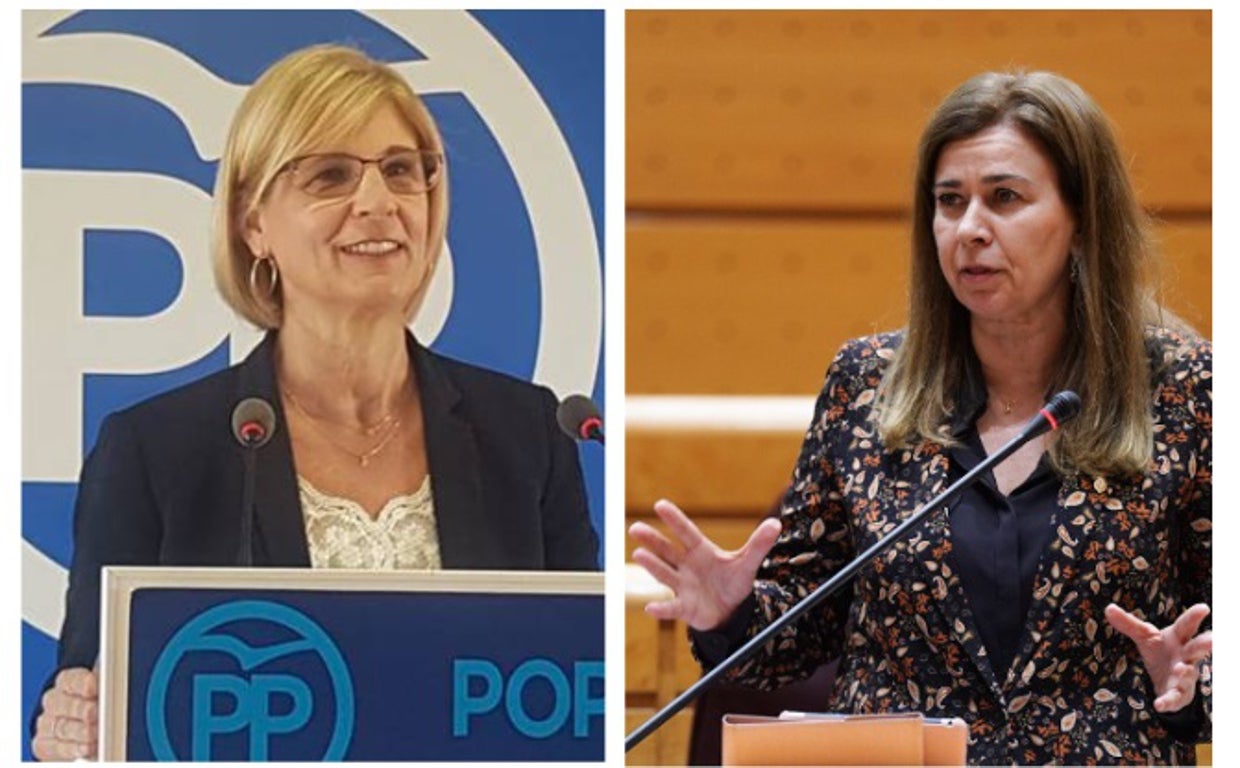 «Cádiz gana peso y presencia en el Senado con la designación de las nuevas senadoras del PP»