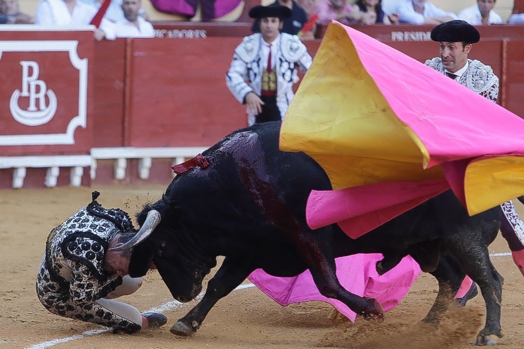 Los toros en la plaza de El Puerto de Santa María 