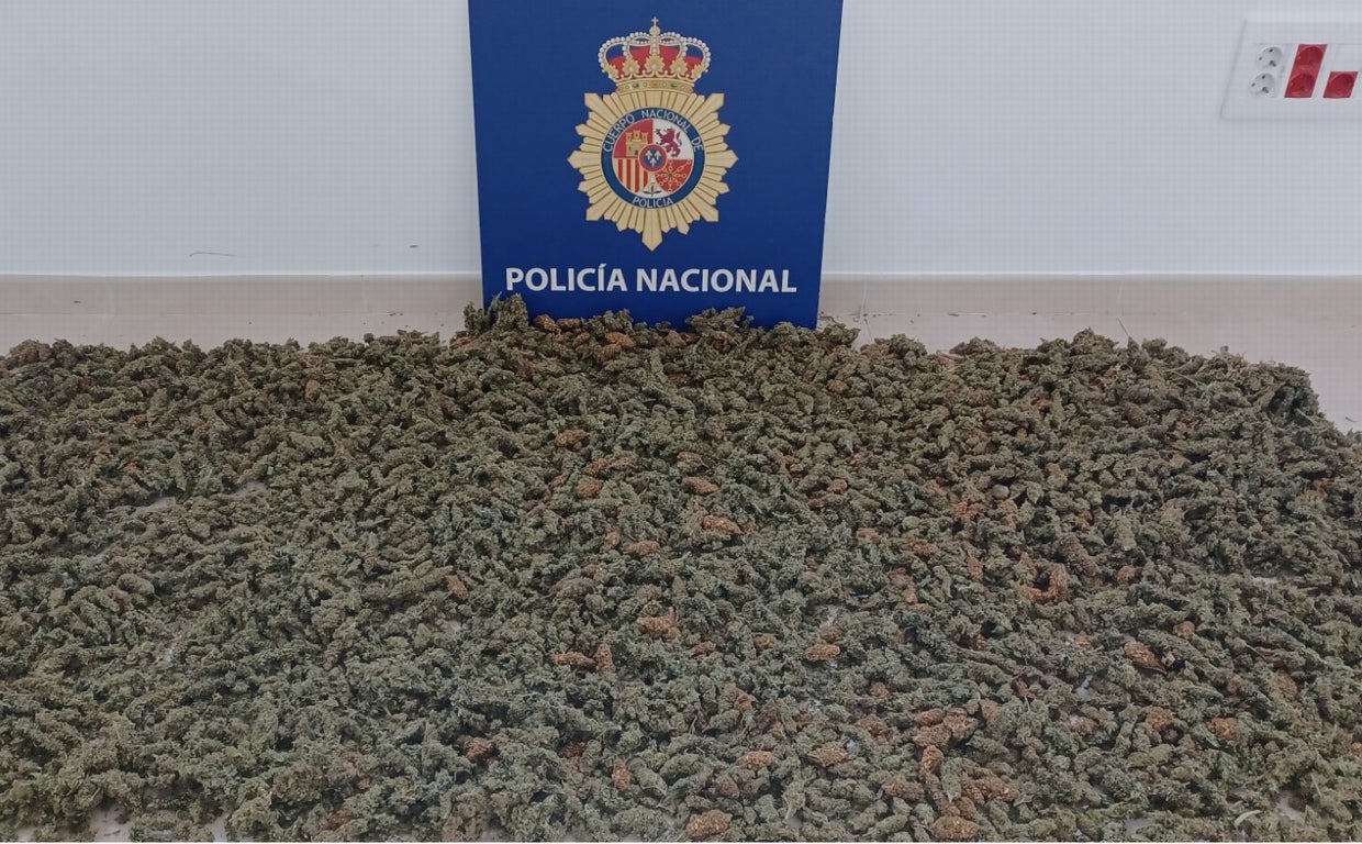 La Policía Nacional desmantela un secadero de marihuana en Sanlúcar de Barrameda