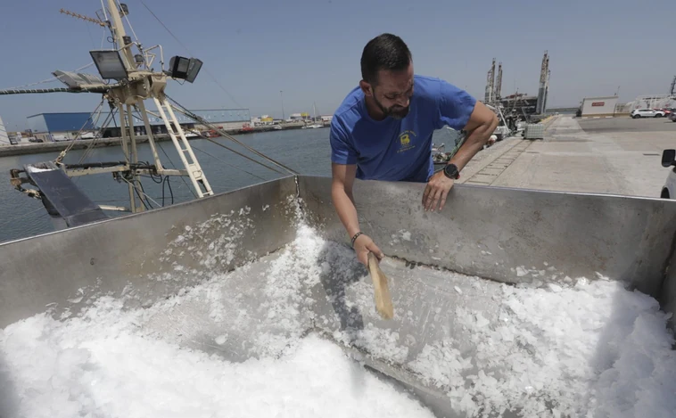 El hielo se convierte en un producto de lujo en pleno agosto en Cádiz