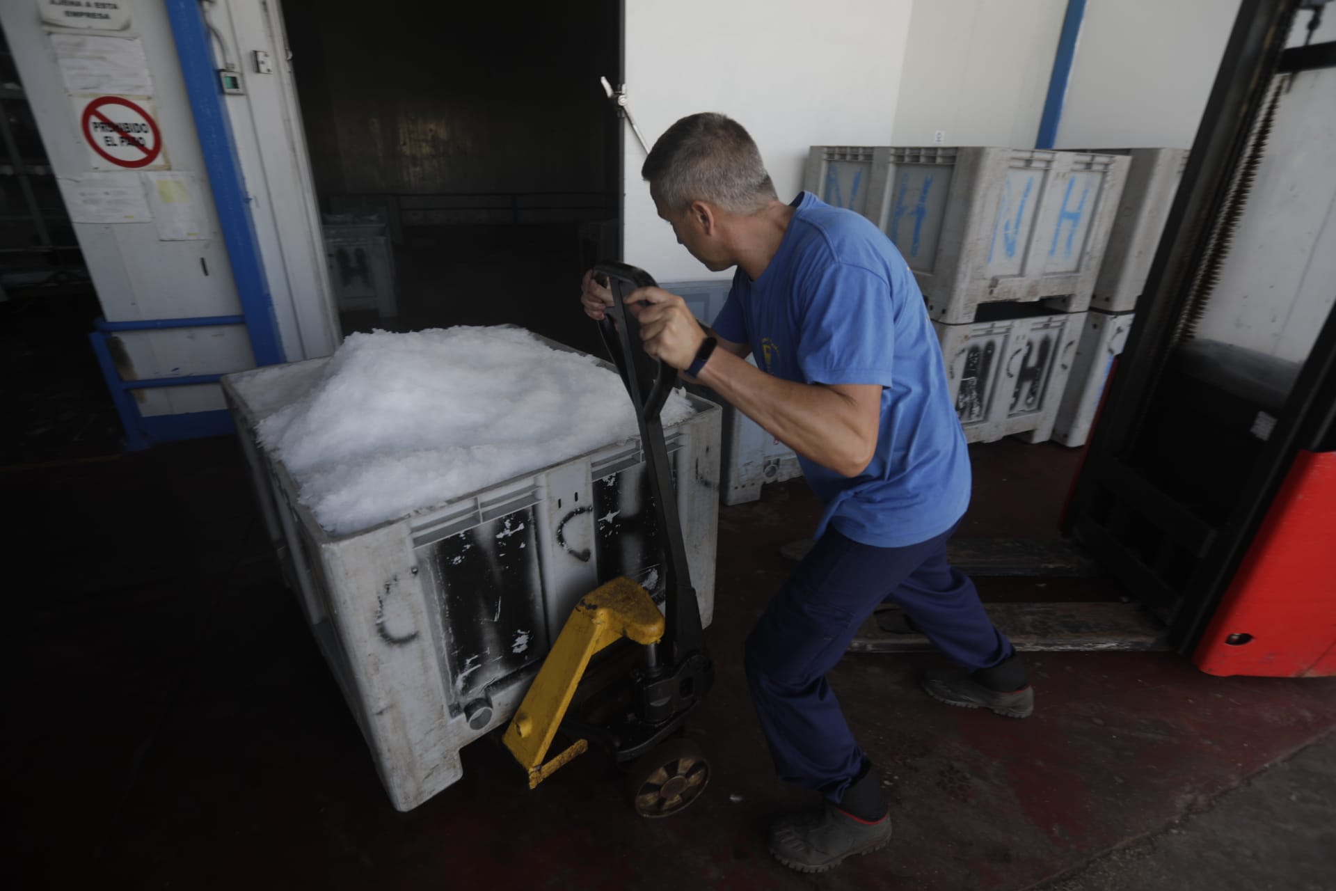 El hielo, un bien preciado