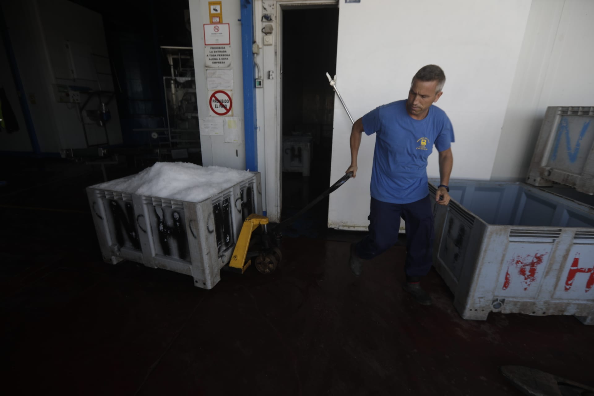 El hielo, un bien preciado