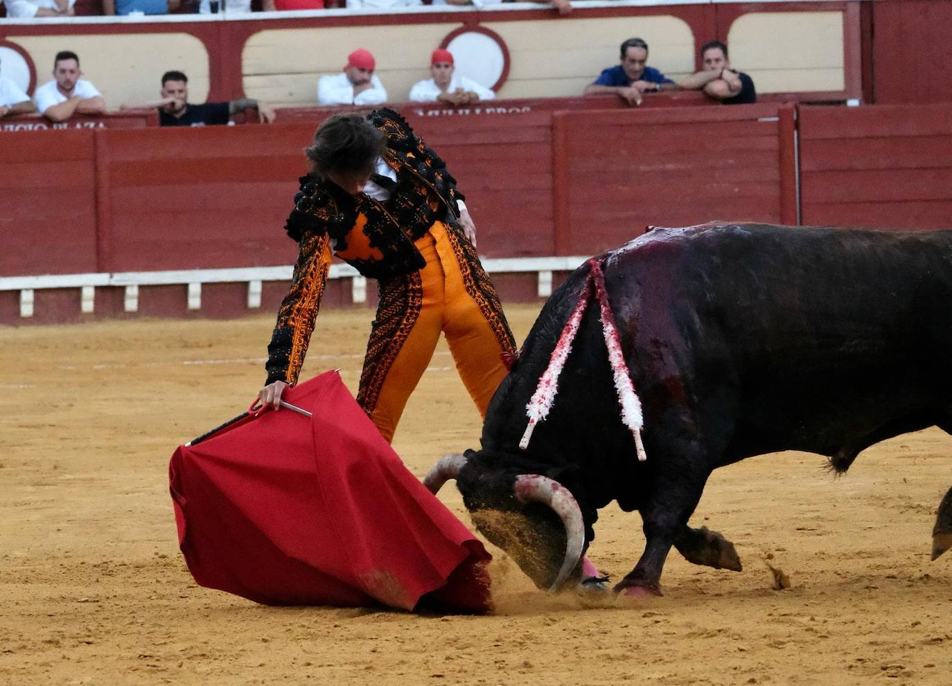 Toros en El Puerto