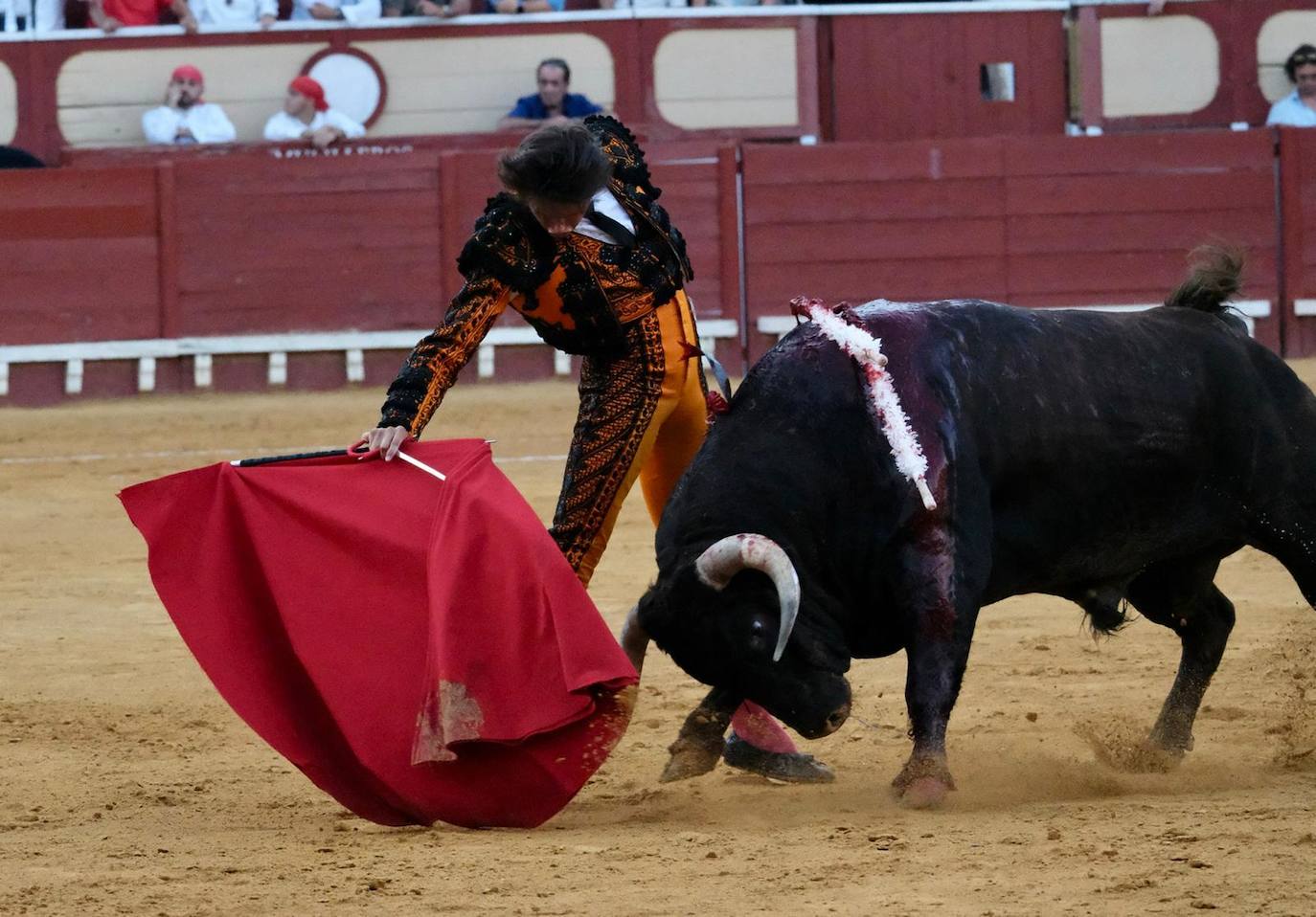 Toros en El Puerto