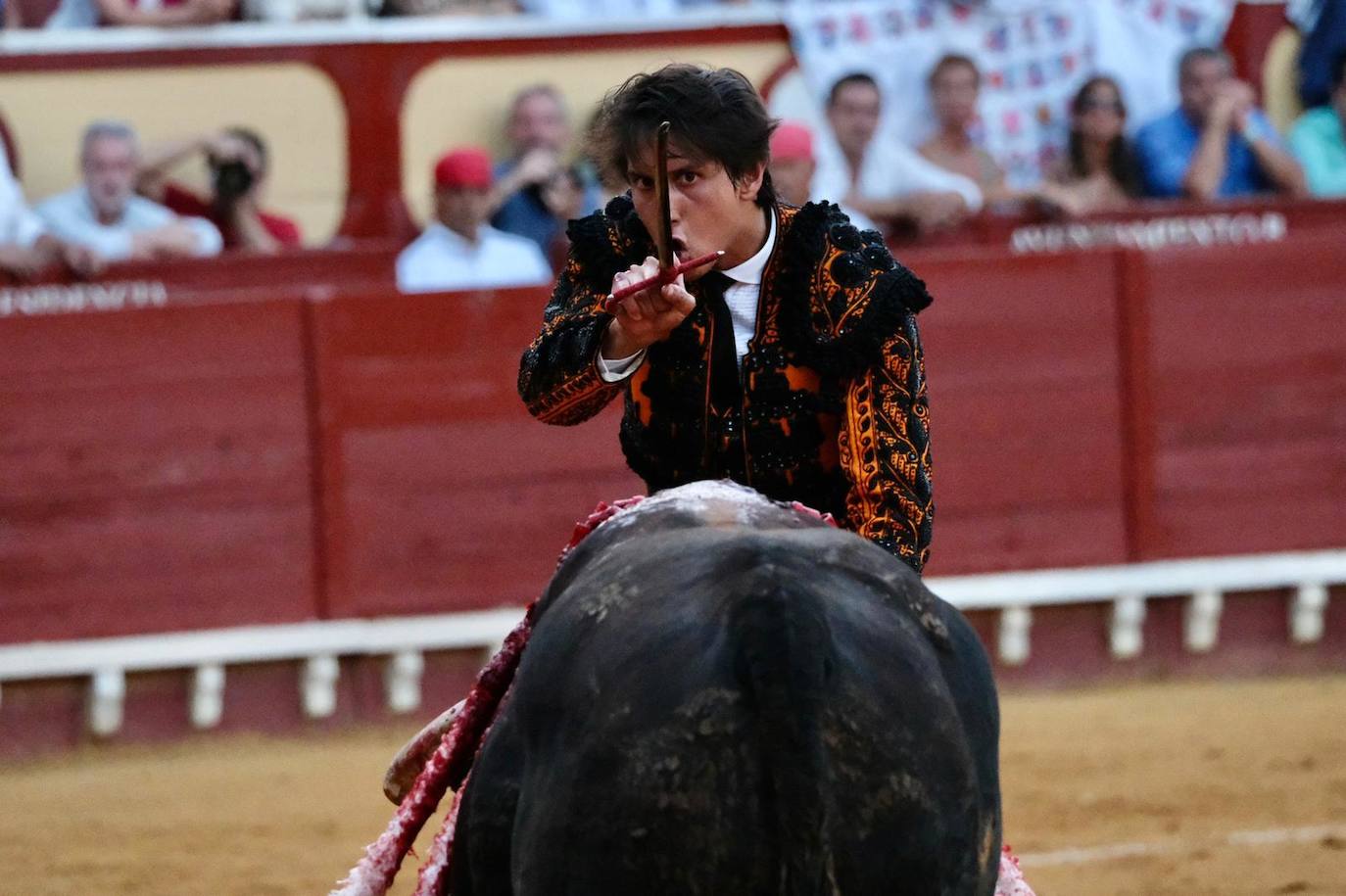 Toros en El Puerto