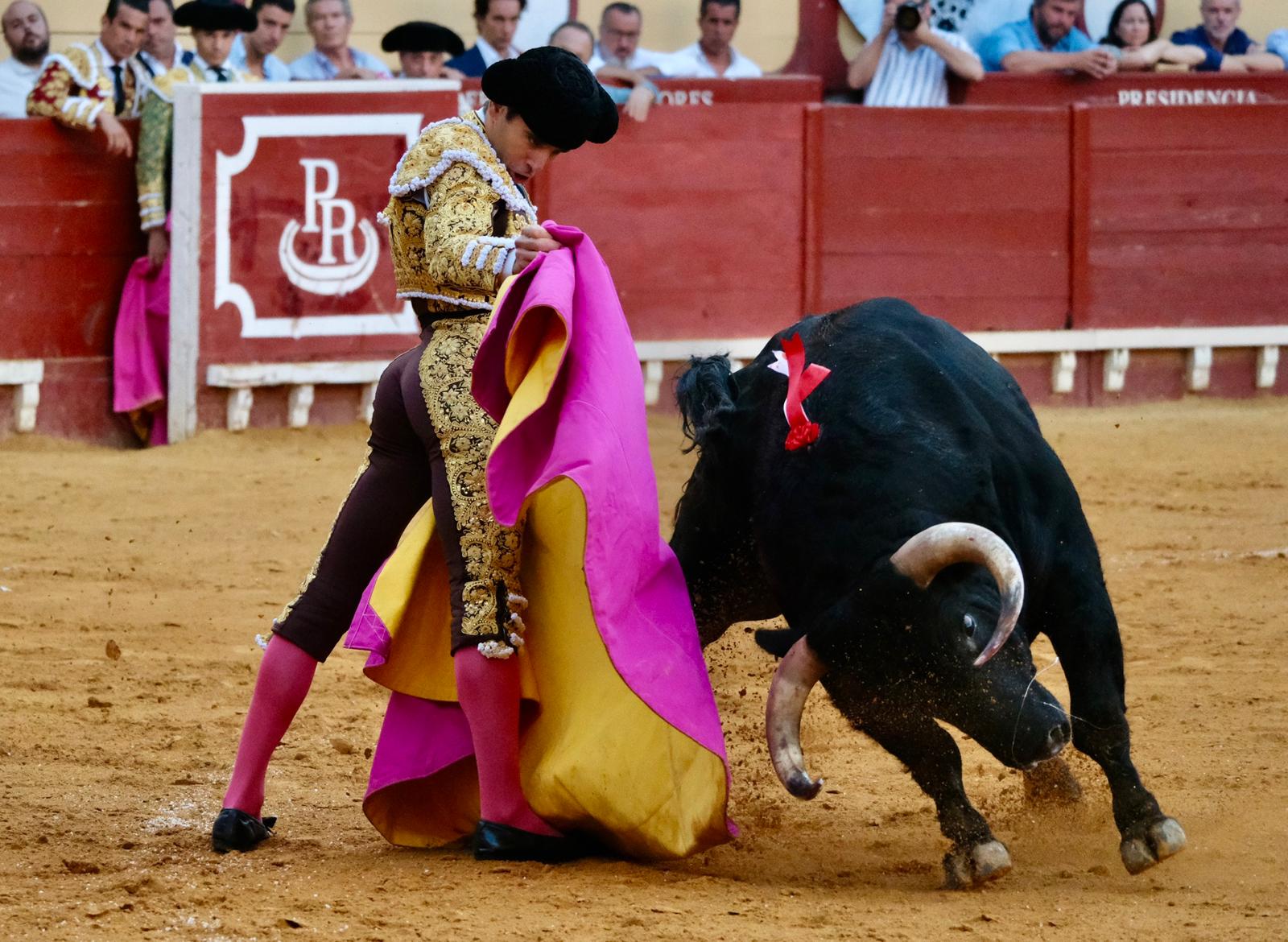 Toros en El Puerto
