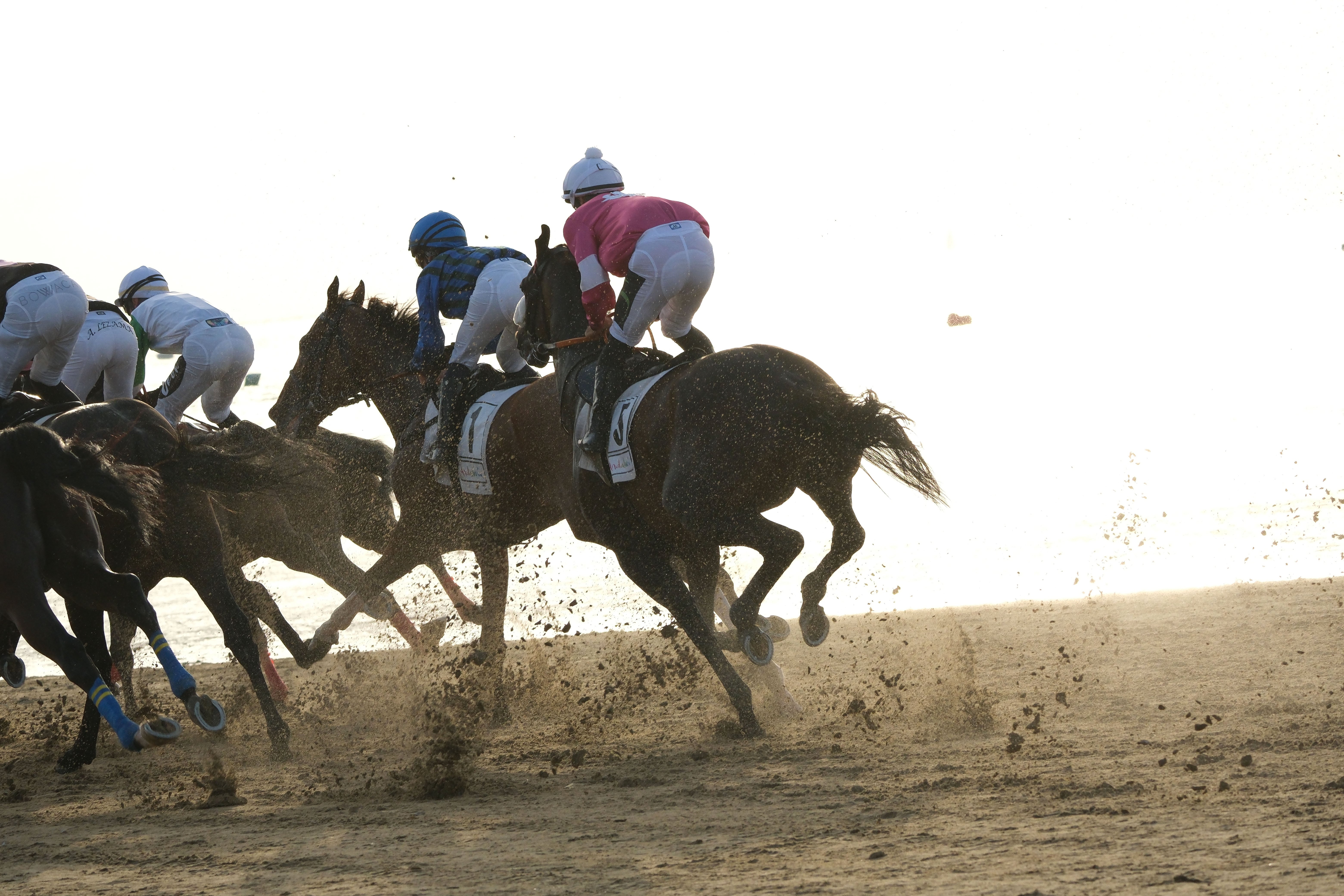 Las Carreras de Caballos de Sanlúcar regresan en todo su esplendor