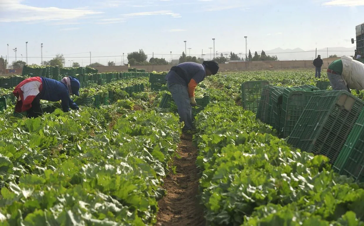 Agricultores y Ganaderos de Cádiz denuncian al Gobierno de España por la tramitación de la nueva PAC