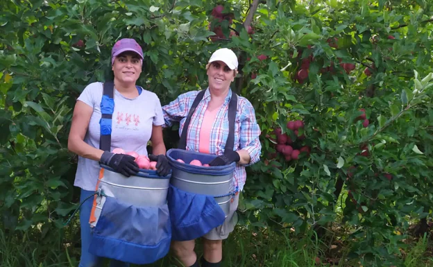 Dos de las mujeres que recolectan las manzanas.