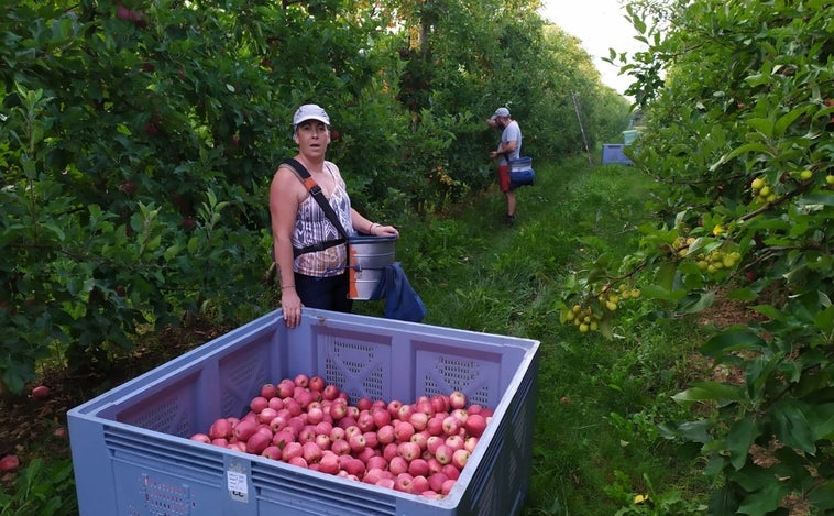 Trabajadores gaditanos para el campo francés