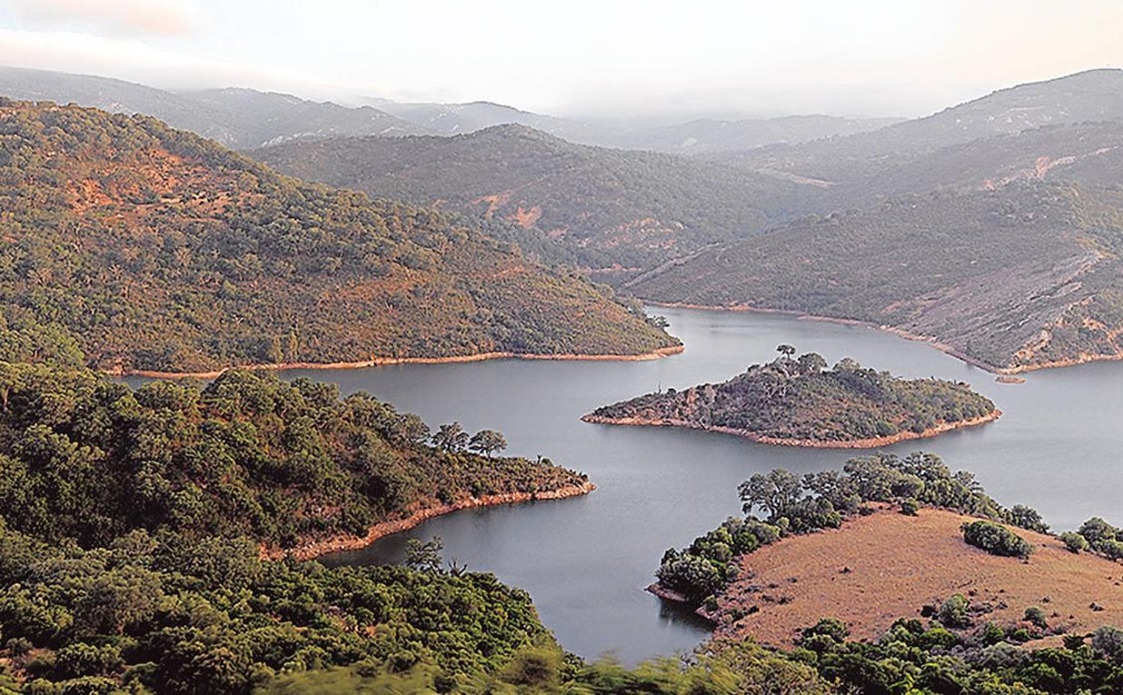 Vista de una parte de la finca