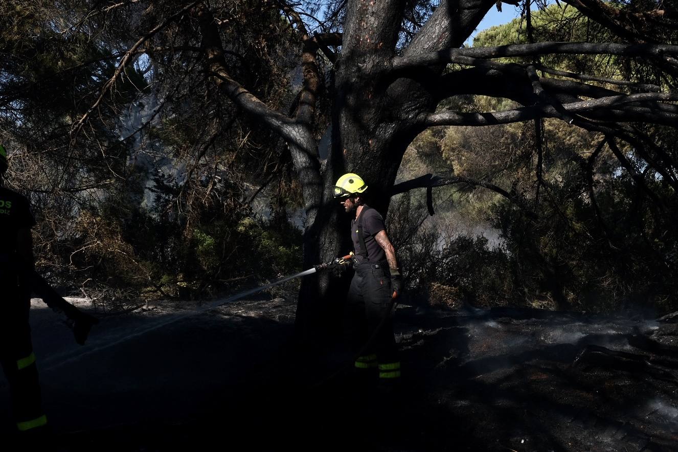 Las imágenes del incendio en Puerto Real