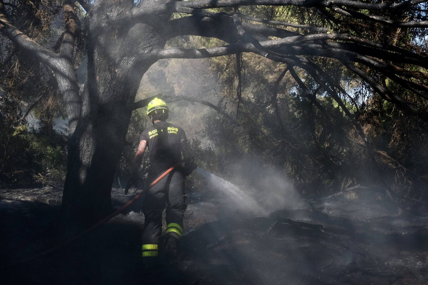 Las imágenes del incendio en Puerto Real