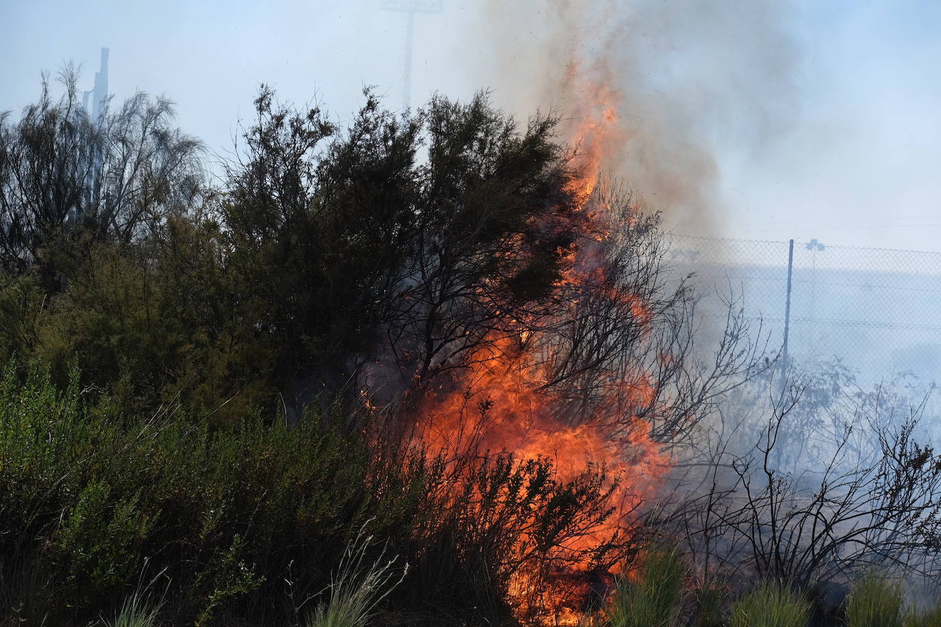 Las imágenes del incendio en Puerto Real