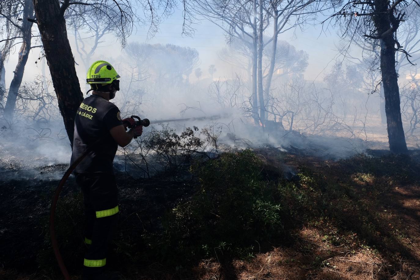 Las imágenes del incendio en Puerto Real