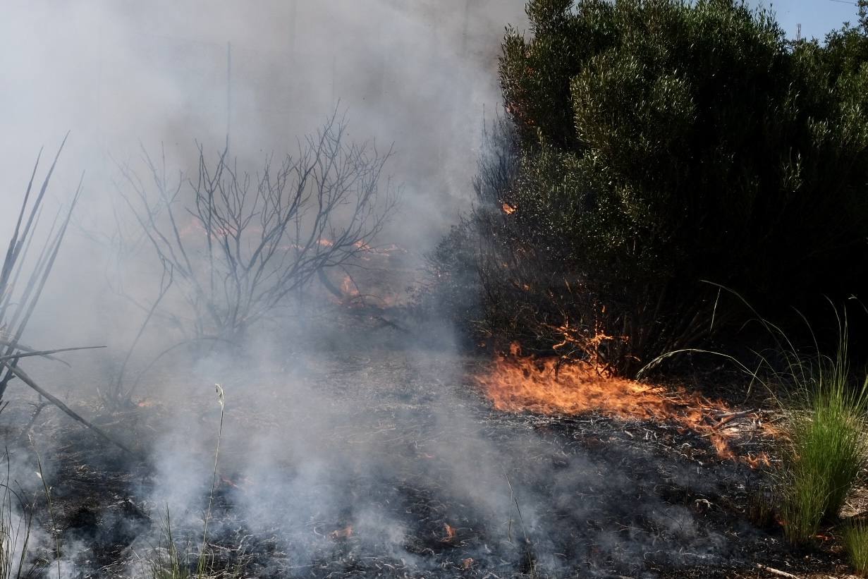 Las imágenes del incendio en Puerto Real