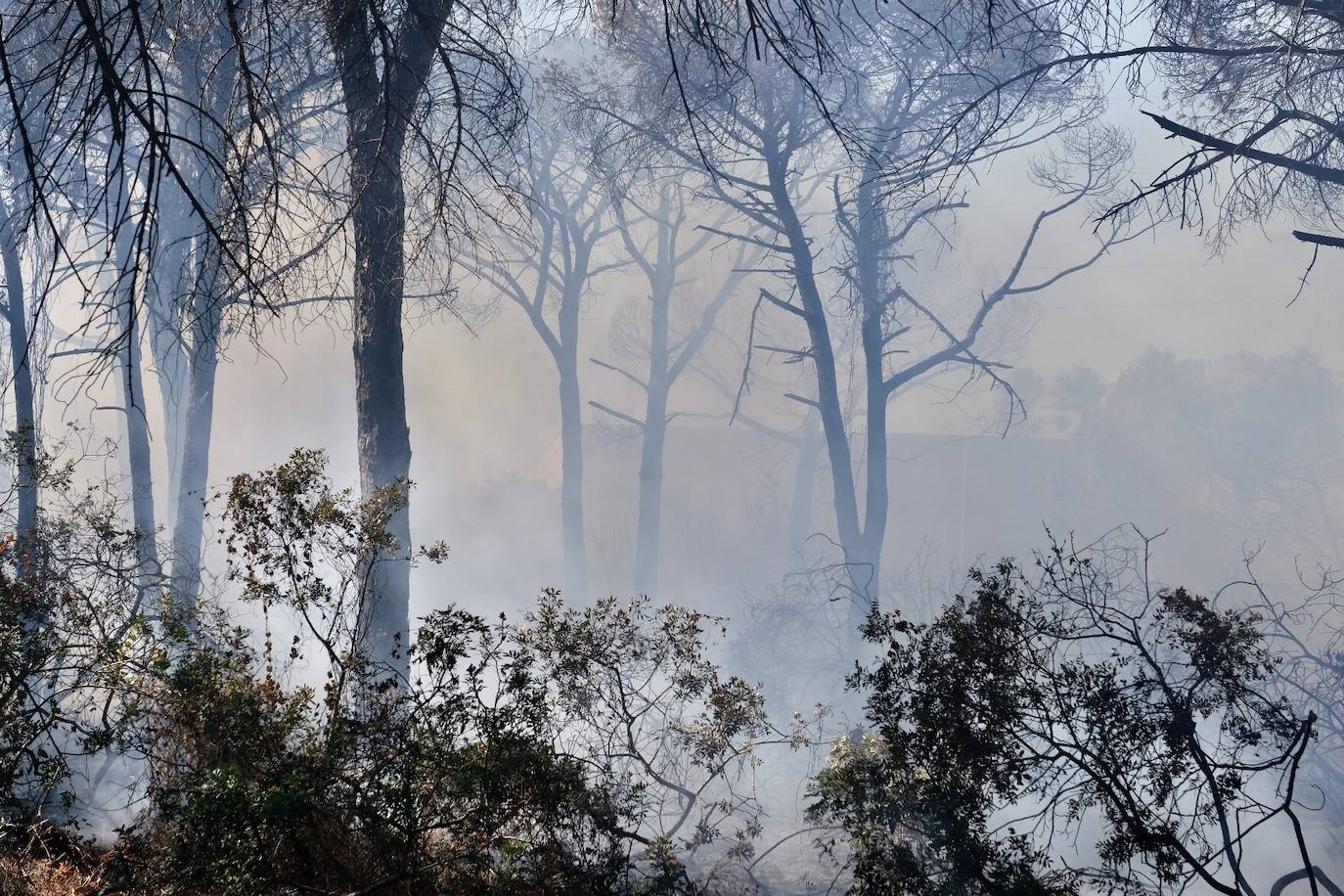 Las imágenes del incendio en Puerto Real