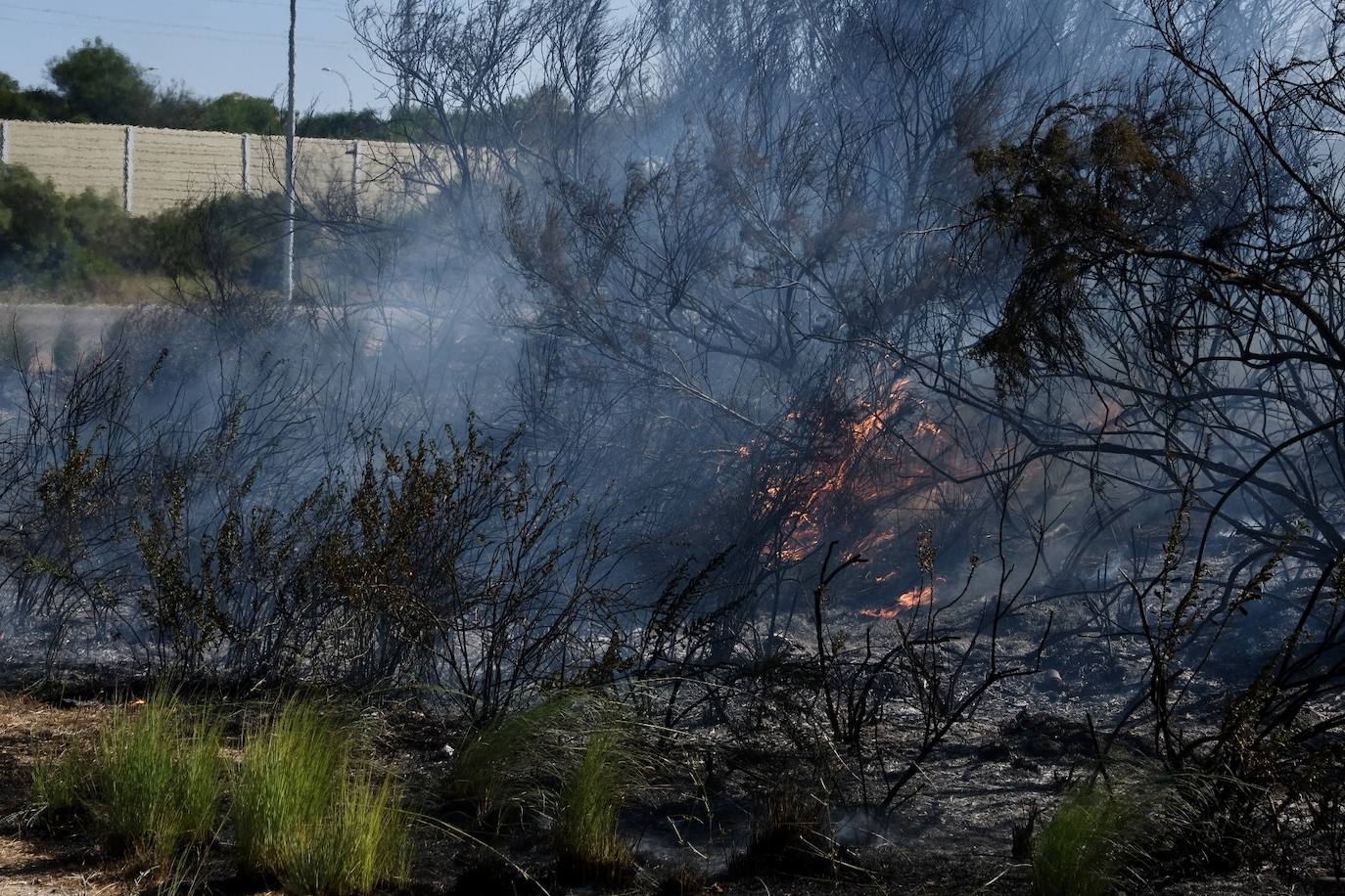 Las imágenes del incendio en Puerto Real