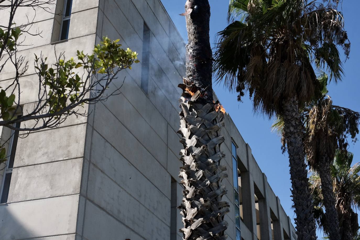 Las imágenes del incendio en Puerto Real