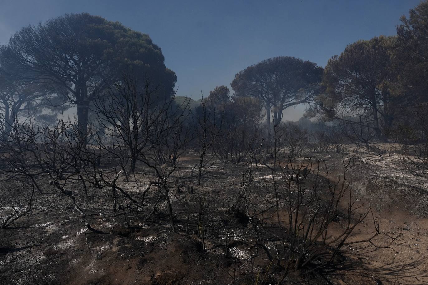 Las imágenes del incendio en Puerto Real