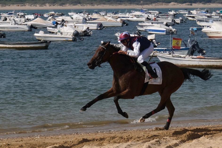 Las imágenes de las Carreras de Caballos de Sanlúcar