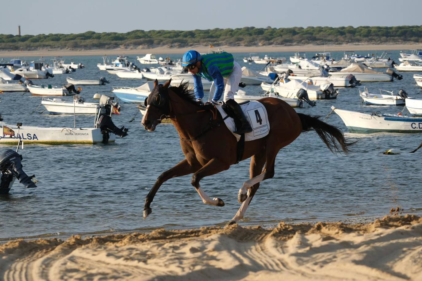 Las imágenes de las Carreras de Caballos de Sanlúcar