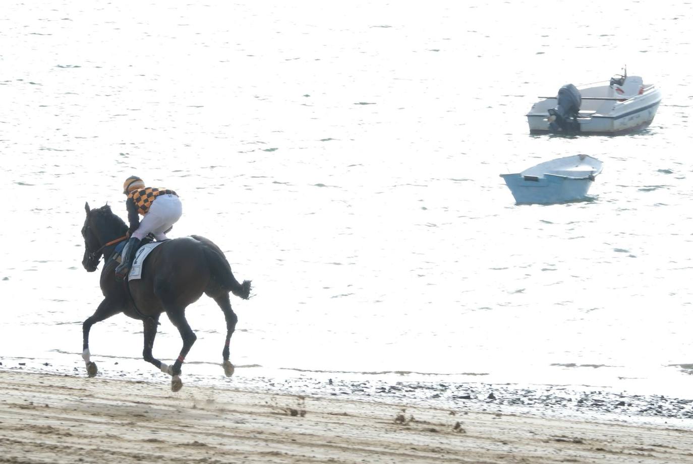 Las imágenes de las Carreras de Caballos de Sanlúcar