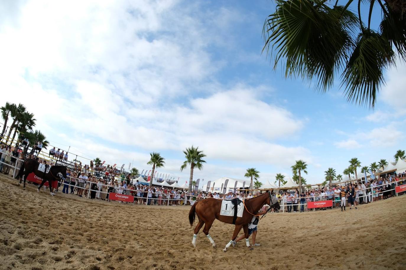 Las imágenes de las Carreras de Caballos de Sanlúcar