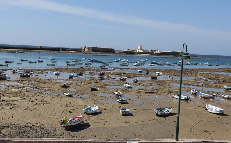 Investigan la calidad de las aguas de La Caleta para detectar por qué ha perdido la Bandera Azul