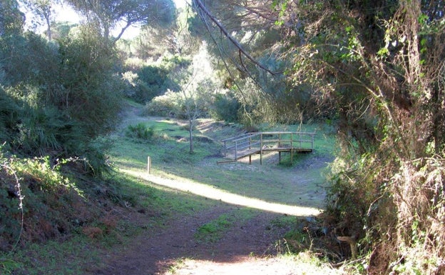 Ruta Arroyo Mondragón, Barbate.