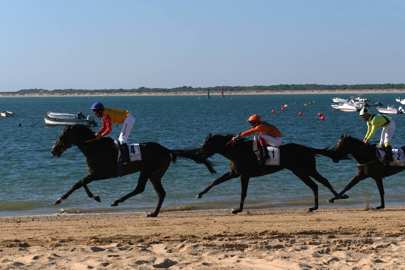 Las imágenes del último día en las Carreras de Caballos de Sanlúcar