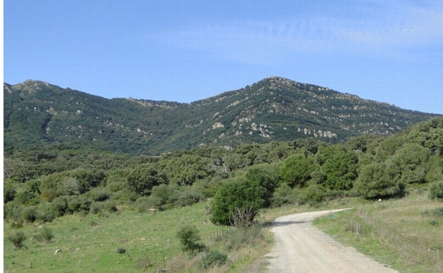 Ruta Valle de Ojén.