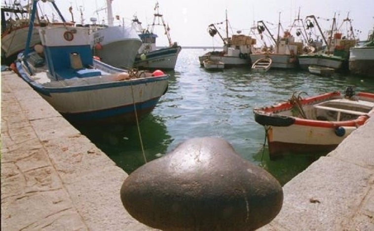 Obras en el centro de comercialización de pesca del puerto de Barbate por más de medio millón de euros