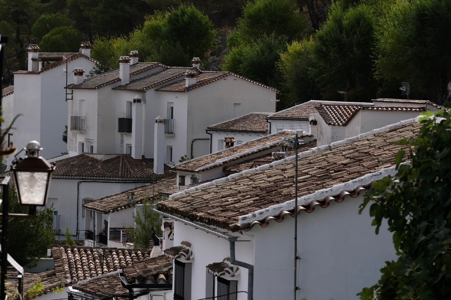 La recreación histórica de Grazalema, en imágenes