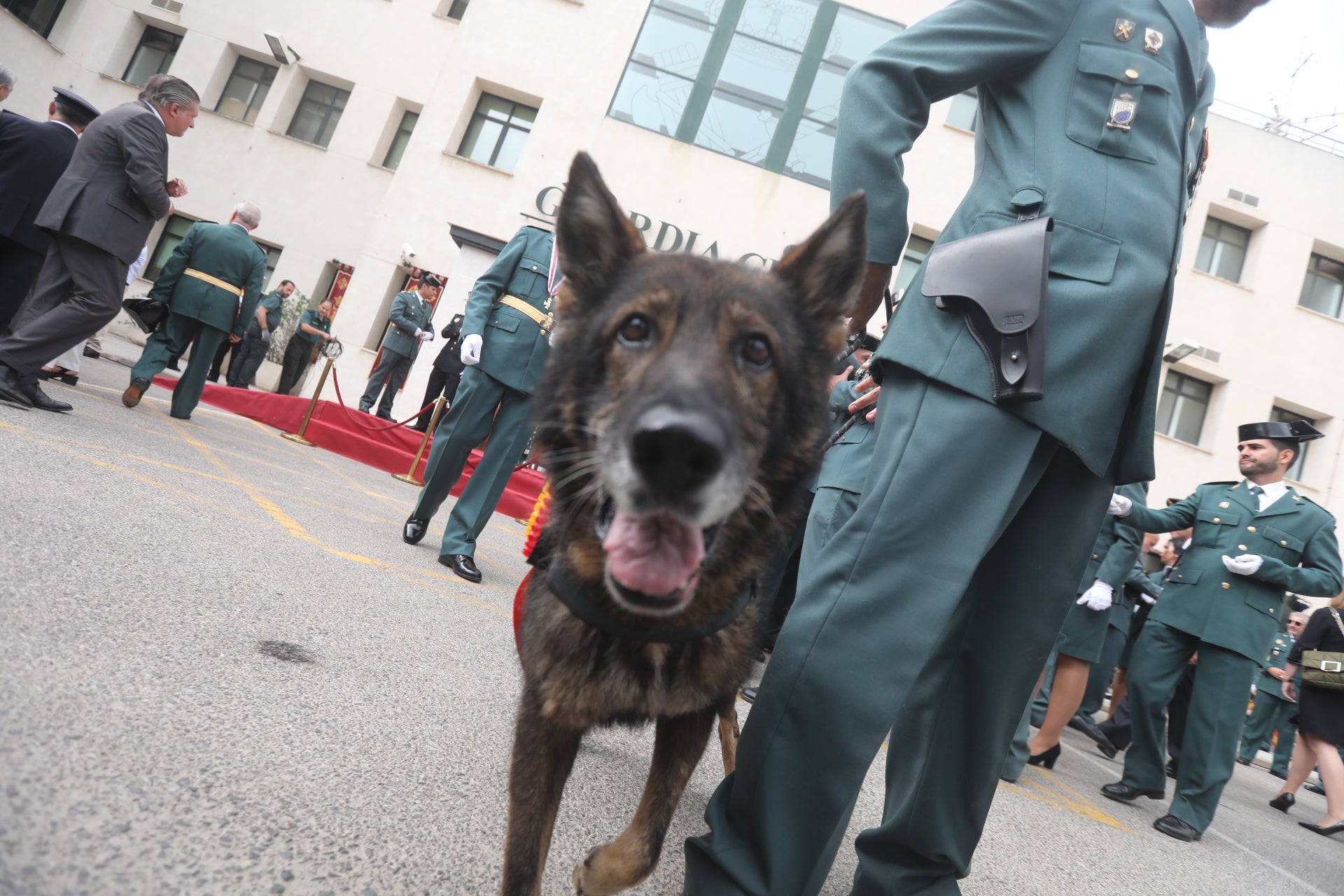 Fotos: La Guardia Civil celebra la festividad de su patrona en Cádiz