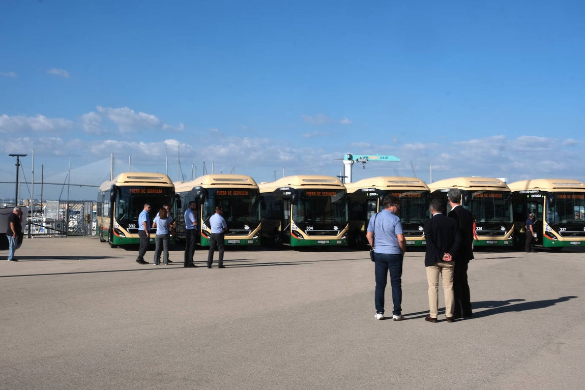 Fotos: Así son los nuevos autobuses híbridos de Cádiz