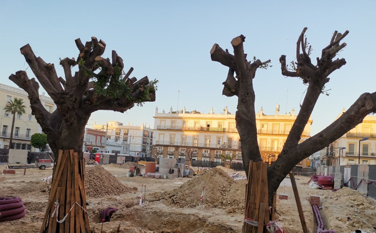 Obras en la plaza del Rey de San Fernando